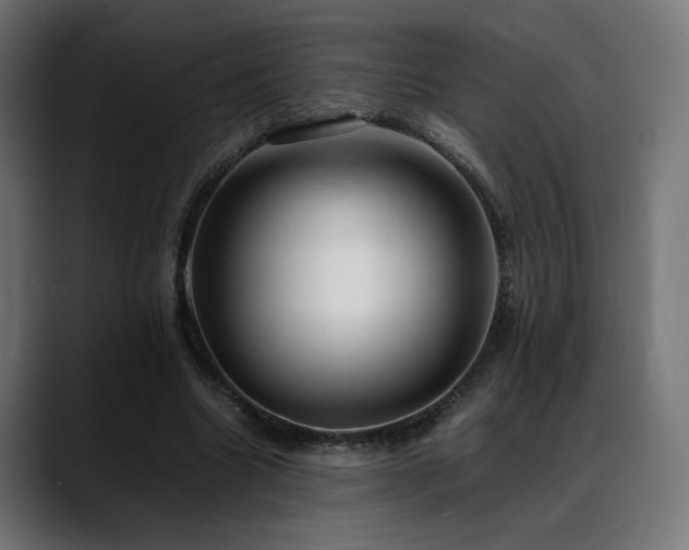 X0000088580538200705251140