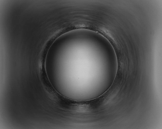 X0000088580539200705251140