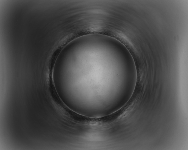 X0000088580542200705251140