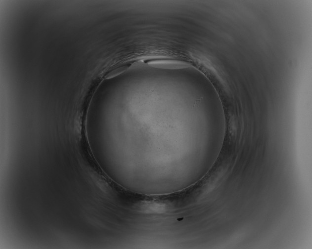 X0000088580545200705251140