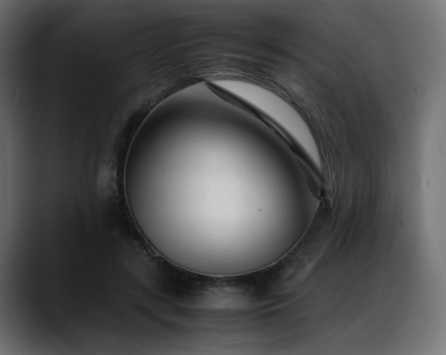 X0000088580547200705251140