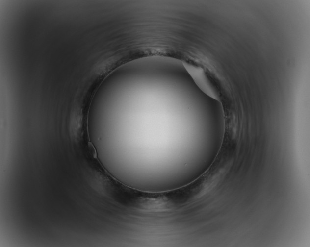 X0000088580548200705251140