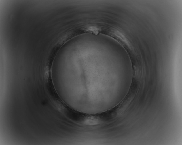 X0000088580549200705251140
