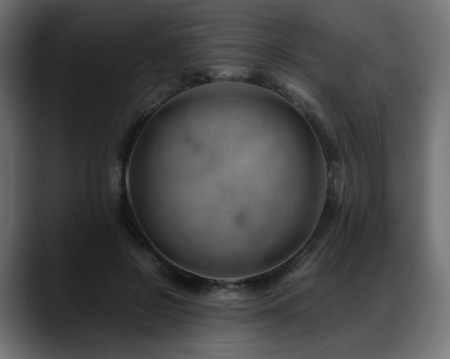 X0000088580550200705251140