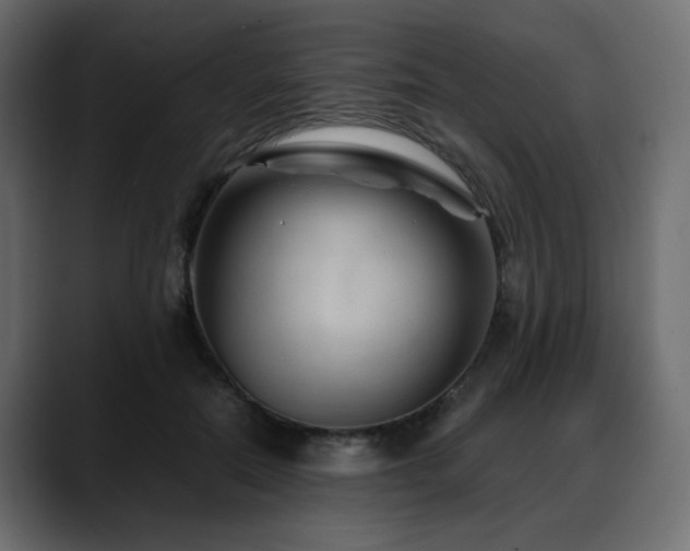 X0000088580554200705251140