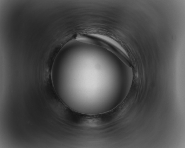 X0000088580555200705251140
