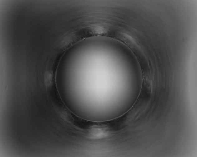 X0000088580556200705251140