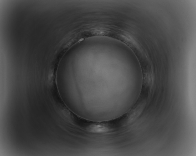 X0000088580557200705251140
