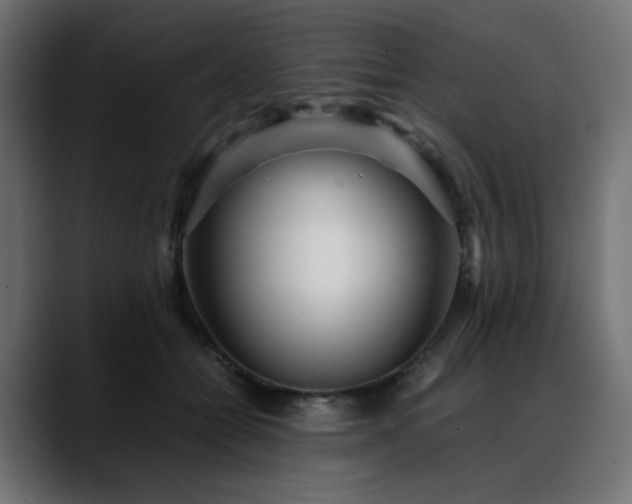 X0000088580558200705251140