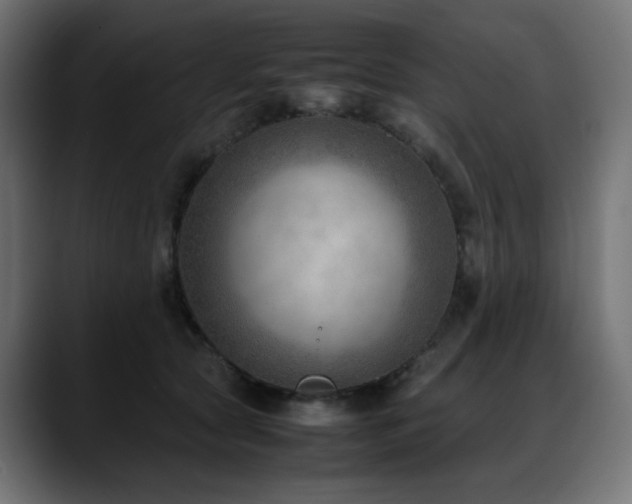 X0000088580561200705251140