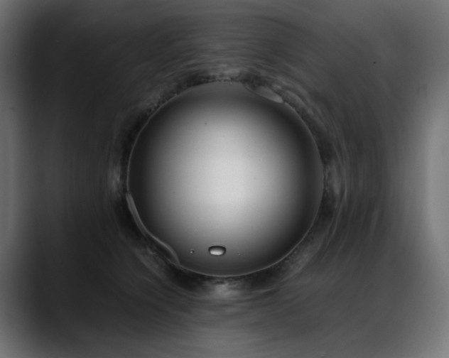 X0000088580564200705251140