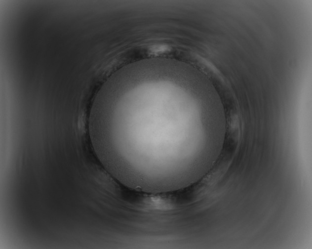 X0000088580565200705251140