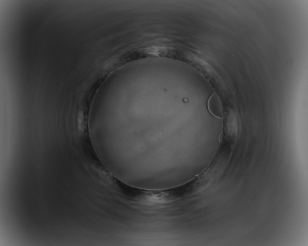 X0000088580569200705251140