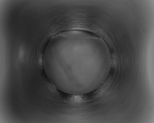 X0000088580573200705251140