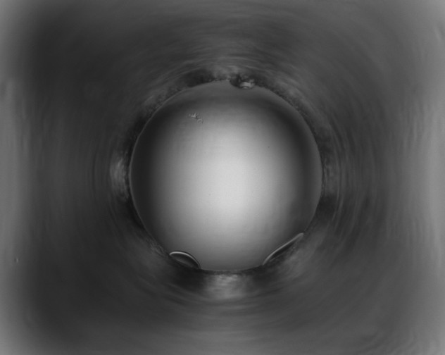 X0000088580575200705251140