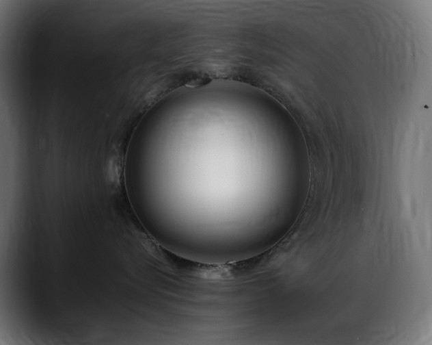 X0000088580576200705251140