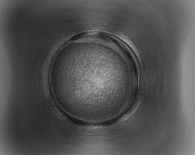 X0000088580577200705251140
