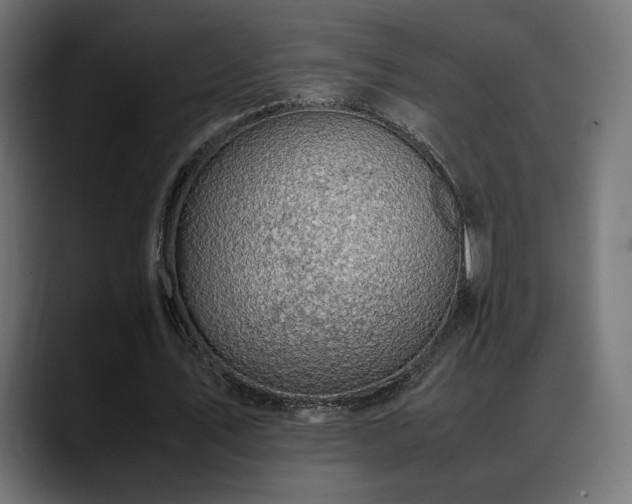 X0000088580579200705251140