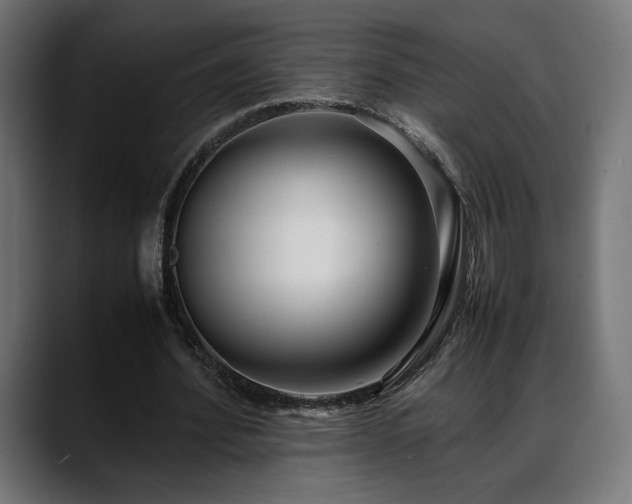 X0000088580580200705251140