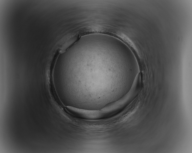 X0000088580581200705251139