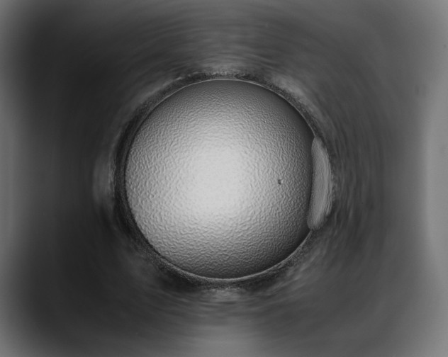 X0000088580583200705251139