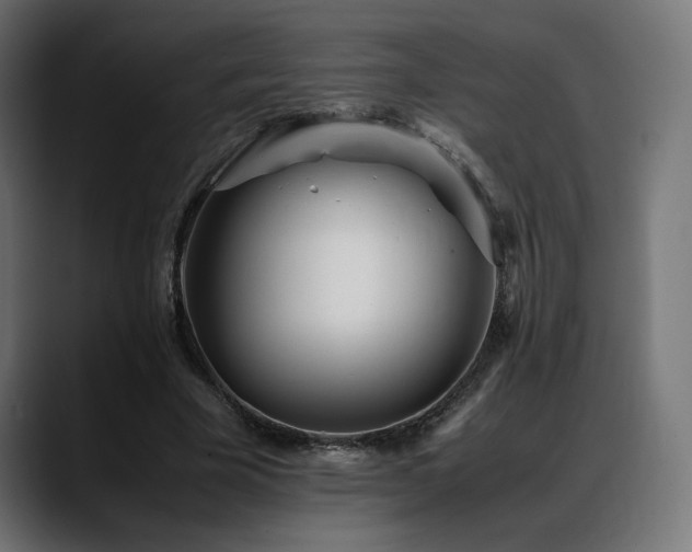 X0000088580585200705251139