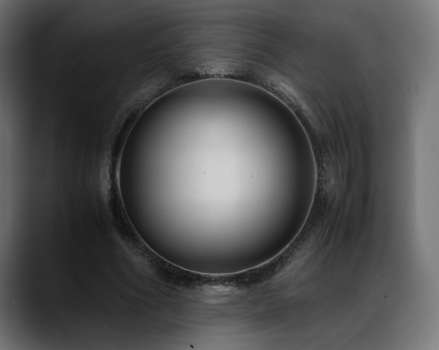 X0000088580586200705251139