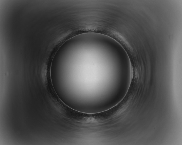 X0000088580588200705251139