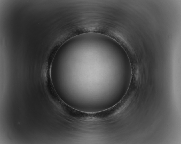 X0000088580590200705251139