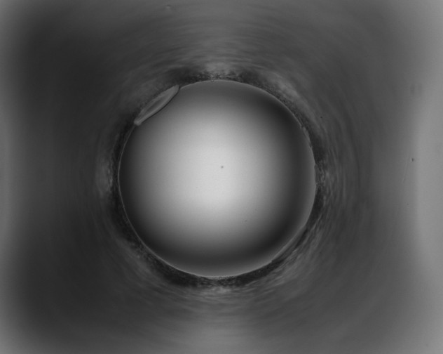 X0000088580593200705251139
