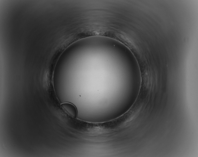 X0000088580594200705251139