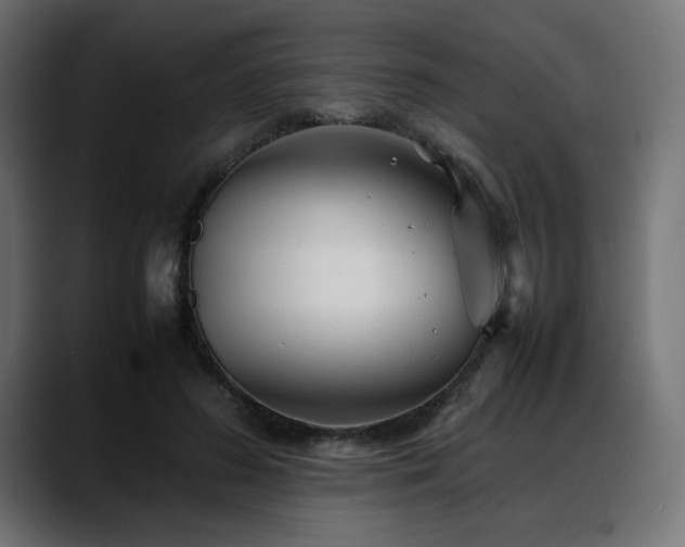 X0000088580596200705251139