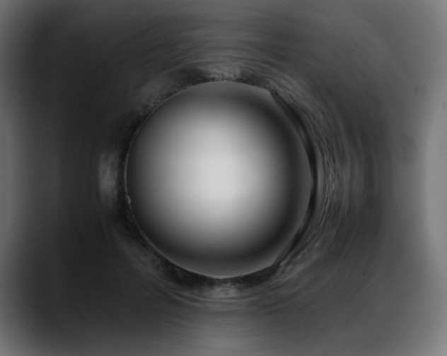 X0000088580600200705251139