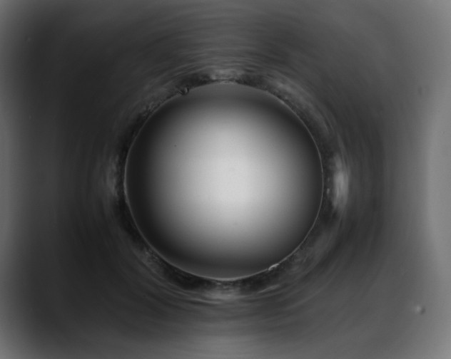 X0000088580604200705251139