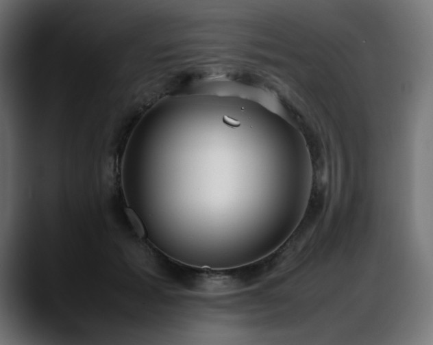 X0000088580605200705251139