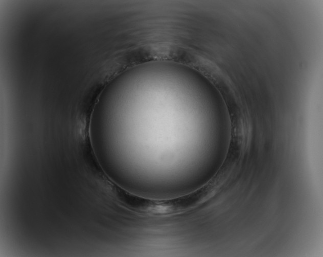 X0000088580610200705251139