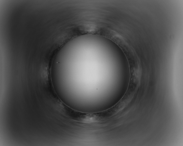 X0000088580612200705251139