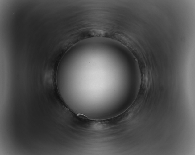 X0000088580616200705251139