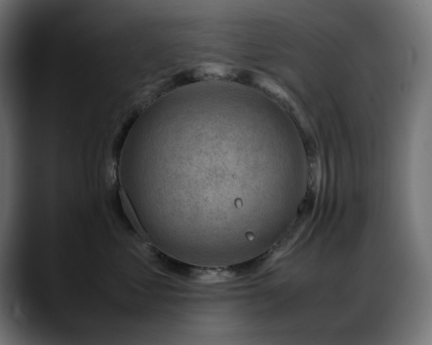 X0000088580621200705251139