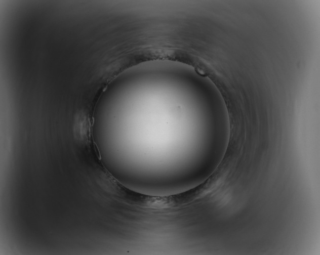 X0000088580624200705251139