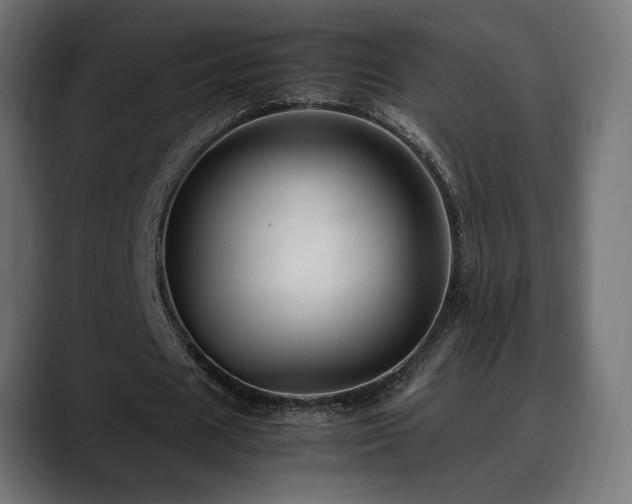 X0000088580625200705251138