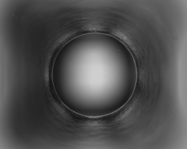 X0000088580629200705251138