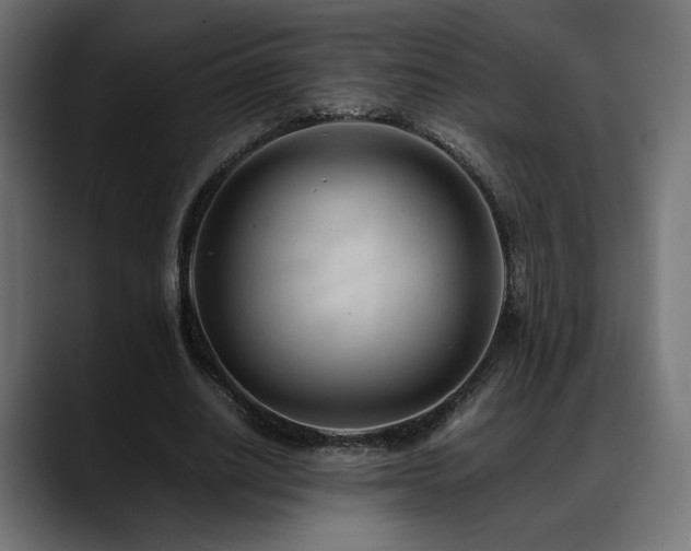 X0000088580630200705251138