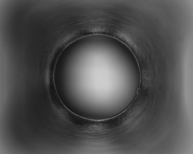 X0000088580631200705251138