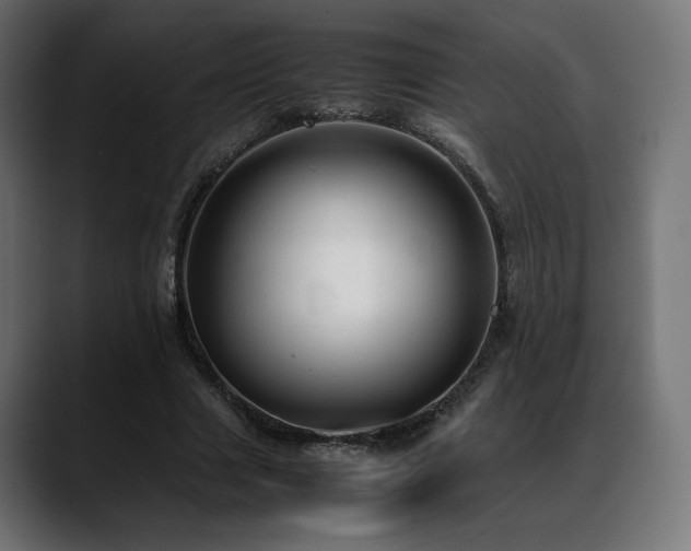 X0000088580633200705251138