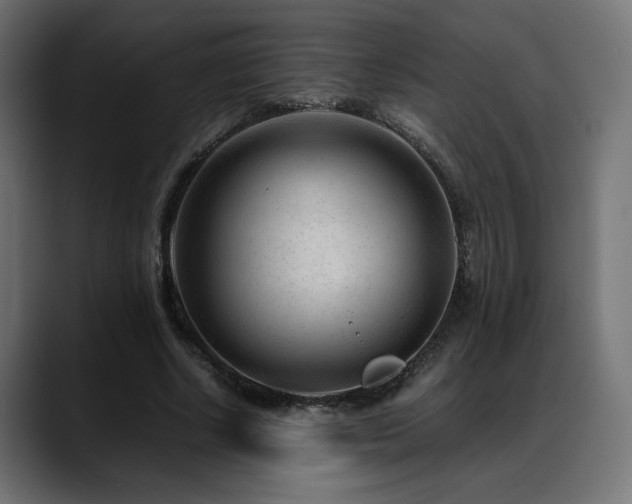 X0000088580634200705251138
