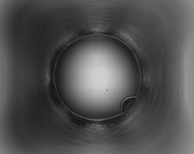 X0000088580635200705251138
