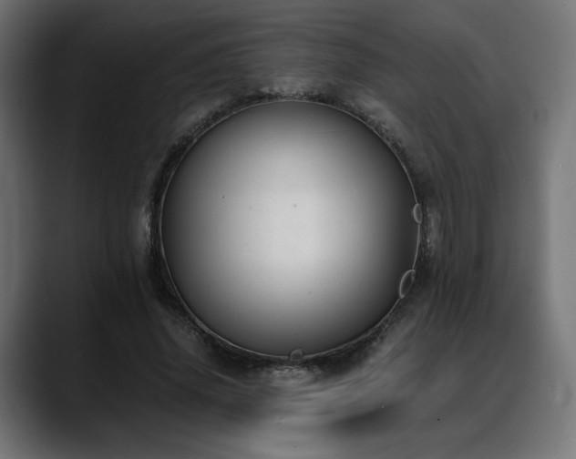 X0000088580636200705251138