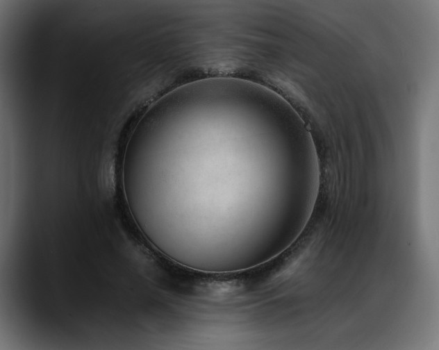 X0000088580638200705251138