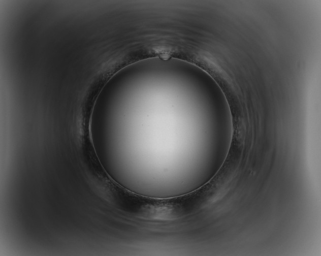 X0000088580639200705251138
